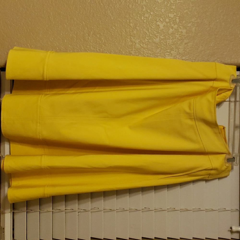 NWT Skirt